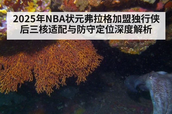 2025年NBA状元弗拉格加盟独行侠后三核适配与防守定位深度解析